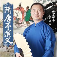 隋唐不演义
